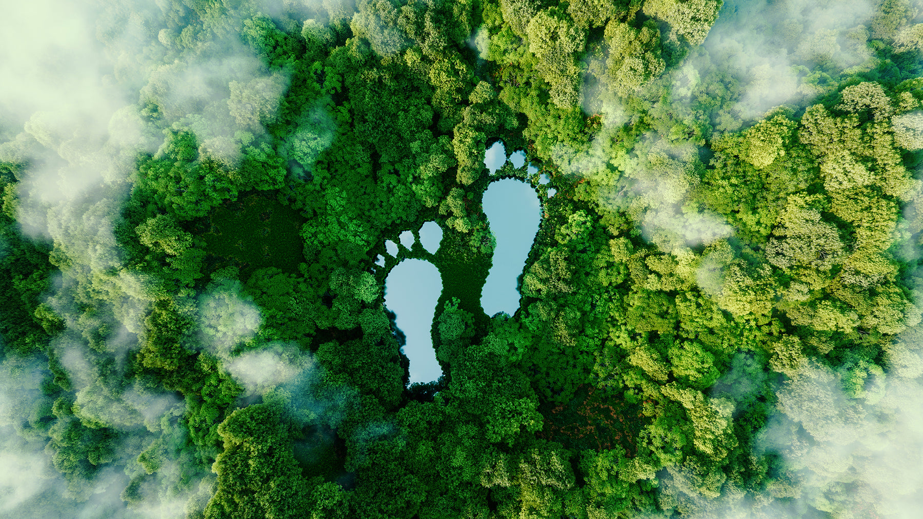 Reduziere deinen ökologischen Fußabdruck