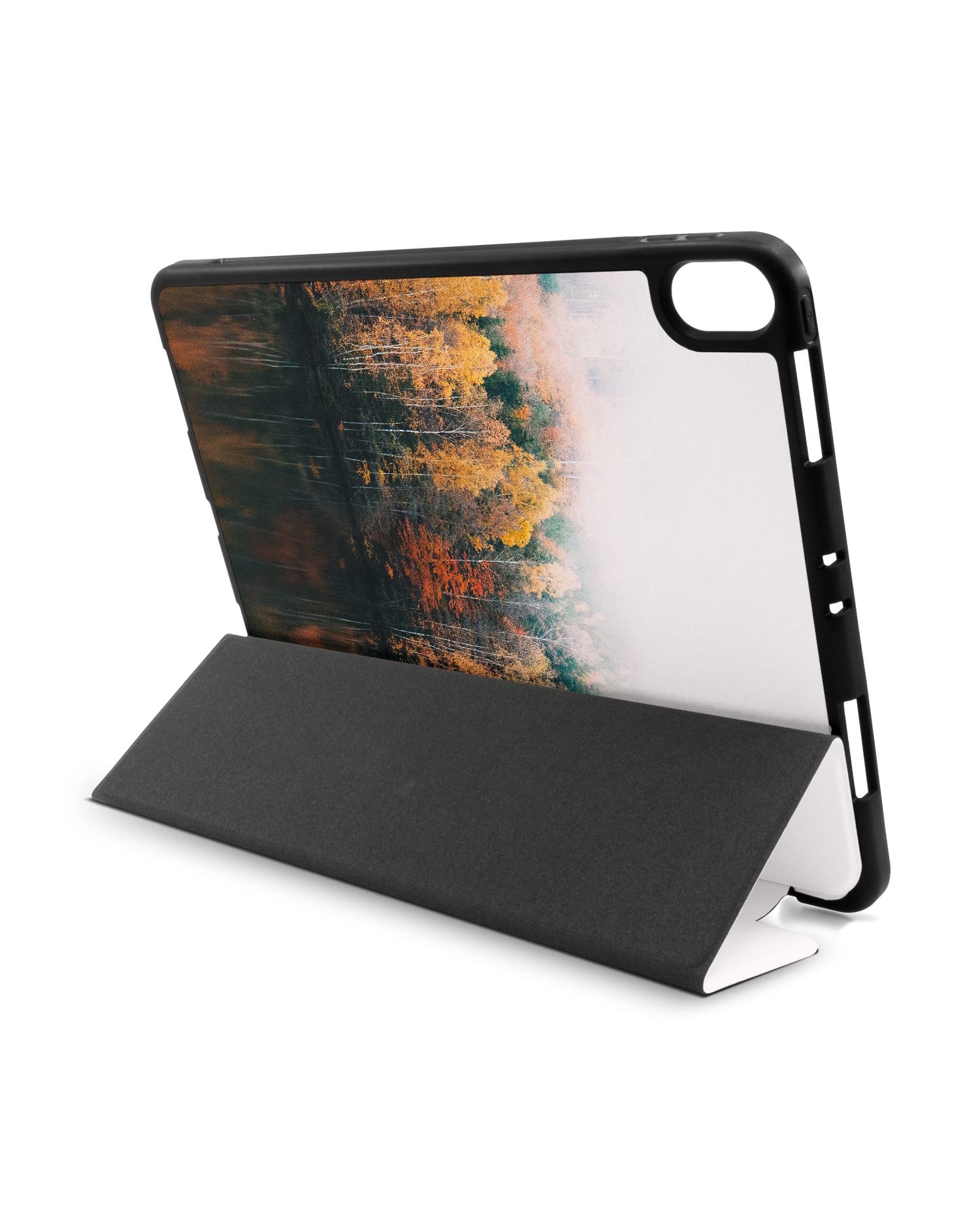 Fall Fog iPad Hülle mit Stifthalter Apple iPad Pro 11'' (2018): Aufgestellt im Querformat von hinten