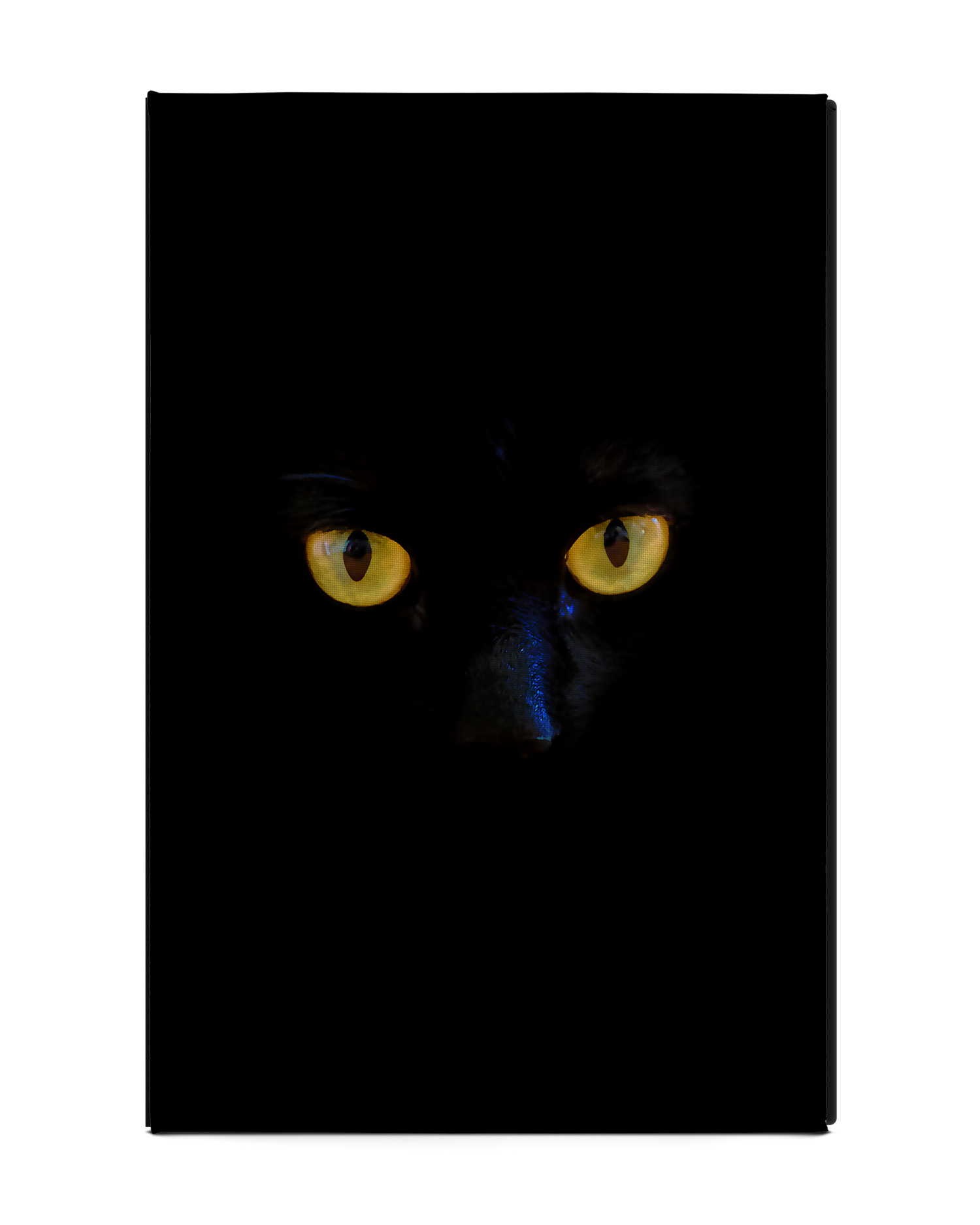 Black Cat Tablet Hülle L: Rückseite