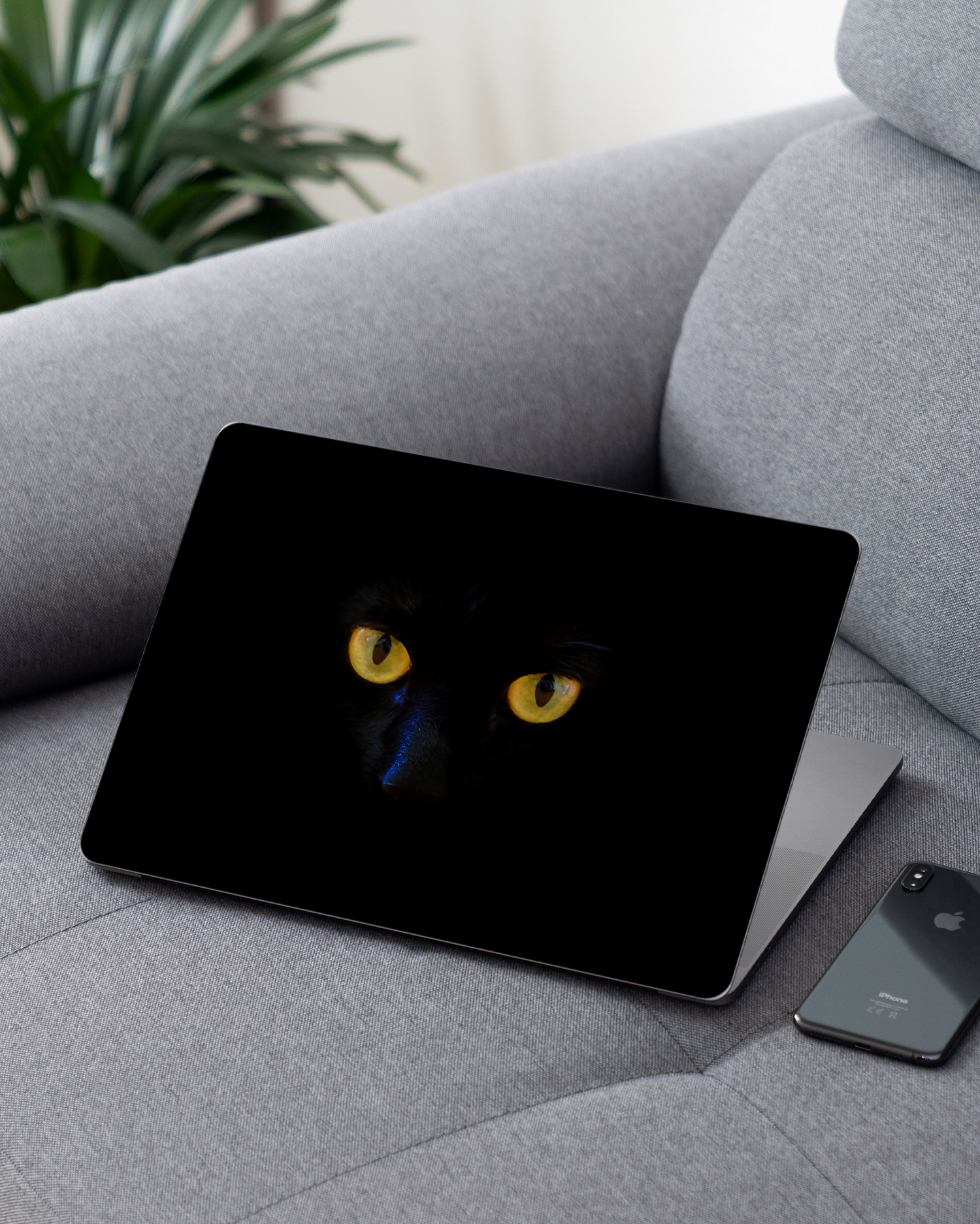Black Cat Laptop Aufkleber für 13 Zoll Apple MacBooks auf dem Sofa