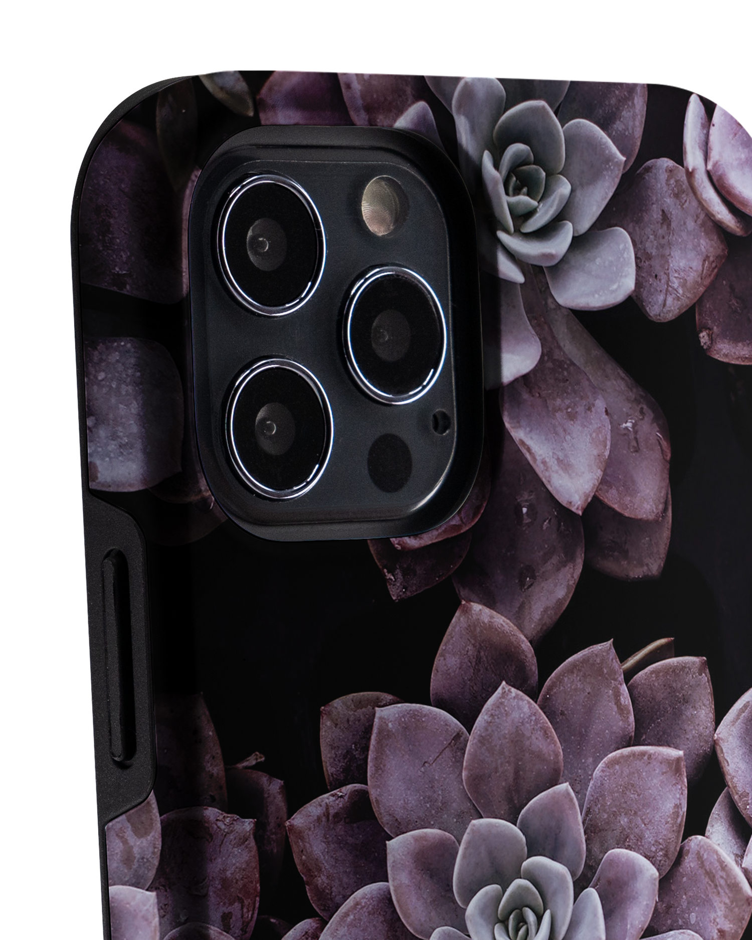 Purple Succulents Premium Handyhülle Apple iPhone 12, Apple iPhone 12 Pro